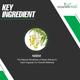 NourishVitals Neem 500 mg Veg Capsule 60's - Hair & Skin