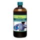 Shree Dhootapapeshwar Rasnasaptak Kadha Tonic 450 ml - Speciality Medicines