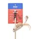 Pettr Cat Fishing Wand Toy 1's - Pet accessories