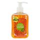 Bjain Omeo Calendula Hand Wash (Pump) 250 ml - Personal Care(Homeopathy)