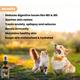 Wiggles CannaPaw Hemp Oil Extract for Dogs Cats Pain Anxiety Relief Spray 30 ml - Pet Healthcare
