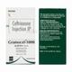 Gramocef 1000 Injection 1's - Bacterial Infections-Cep