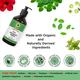 Organic Veda Raise Anti Hair Loss Shampoo 473 ml - Personal Care (Ayush)