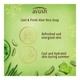 Lever Ayush Cool & Fresh Aloe Vera Soap 100 gm - Soaps