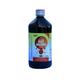 GH Rakt Suddhi Syrup 450 ml - Speciality Medicines