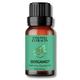 Essentia Extracts Pure Essential Oil - Bergamot 15 ml - Essential Oils