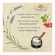 Bioayurveda Basics Nourishing Lift Night Face Creme 20 gm - Night Cream