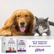 Petvit Pre & Probiotics Gut Health Powder for Dogs, Cats, Puppies & Kittens 20's - Pet accessories