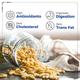 Happilo Premium International Pinenut Kernel Seeds 150 gm - Nutritional Bars