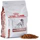 Royal Canin Dog Gastro Intestinal Dry Food 2 kg - Petfood