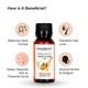 Greenberry Organics Organic Sweet Almond Oil 50 ml - Essential Oils