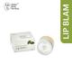 BBB Better Body Bombay Lip Balm- Pistachio & Argan Oil 10 gm - Lip Balms