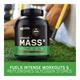 Optimum Nutrition (ON) Serious Mass Powder - Vanilla 3 kg - Workout Essentials