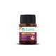 Dr. Vaidya's Piles Care Capsule 30's - Speciality Medicines