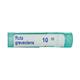 Boiron Ruta Graveolens 1M Multi Dose PELLETS 4 GM - Speciality Medicine