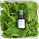 Skin Fx Superfood Face Elixir Serum - Anti - Aging & Revitalizing (Spinach) 30 ml - Face Serum