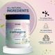 Nirvasa Plant Based Collagen Builder Powder - Berry Orange (Pack of 5 x 250 gm) 1's - Hair & Skin