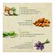 Bioayurveda Pure Butter Body Creme 60 gm - Lotions & Creams