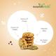 NourishVitals Sugar Free Multigrain Cookies 120 gm - Nutritional Bars