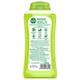 Dettol Long Lasting Hygiene Body Wash - Revitalize 250 ml - Shower Gels & Body Wash