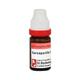 Dr. Reckeweg Sarsaparilla 6 Liquid 11 ml - Dilutions