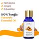 Sage Apothecary Essential Oil - Turmeric 10 ml - Essential Oils