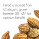 Kapiva Ayur Foods Triphala Plus Capsules 60's - Pure Herbs
