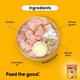Pedigree Puppy Chicken Chunks in Gravy (Pack of 70gm x 15) 1050 gm - Petfood