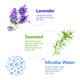 Kara Beauty Micellar Make Up Removal Wipes - Lavender & Seaweed 30's - Make Up Removers