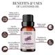 Essentia Extracts Pure Essential Oil - Lavender 15 ml - Essential Oils
