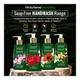 Morpheme Remedies Anti Bacterial Hand Wash - White Tea & Ginger 250 ml - Hand Wash & Soaps