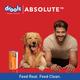 Drools Absolute Salmon Oil Syrup - Dog Supplement 150 ml - Petfood