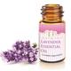 Mesmara Essential Oil - Lavendar 15 ml - Essential Oils