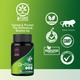 1 Tree Dr-Piles Veg Capsule (Pack of 2 x 30's) - Speciality Medicines
