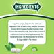 Doublemint Mints - Peppermint (Pack of 15 x 4.8 gm) - Nutritional Bars