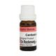 Dr. Reckeweg Carduus Marianus 3X Liquid 11 ml - Dilutions