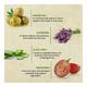 Bioayurveda Basics Complexion Care Tinted Moisturiser Face Creme 120 gm - Face Creams