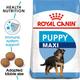 Royal Canin Maxi Puppy Dry Dog food (Up to 26-44kg) 15 kg - Petfood