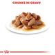 Royal Canin Instinctive Adult Cat Food - Gravy (Pack of 12 x 85 gm) 1's - Petfood