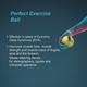 Tynor Exercising Ball - Neuro (H 05) - Supports And Braces