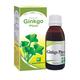 Bio-India's Ginkgo Plus Tonic 120 ml - Speciality Medicine