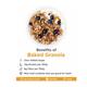 True Elements Baked Granola Honey Crunch 450 gm - Nutritional Bars
