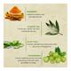 Bioayurveda Basics Youth Complete Acne Care Face Pack Creme 60 gm - Face Packs