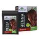 Plantscare Henna Natural Hair Colour - Burgundy 240 gm - Henna