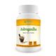 Bhumija Lifesciences Ashvagandha 250 mg Capsule 60's - Ashwagandha