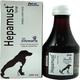Pet Mankind Hepamust Herbal Liver Tonic Syrup 200 ml - Pet Healthcare