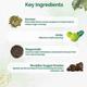 Dr. Vaidya's Lipoherb Capsule (Pack of 3 x 30's) - Speciality Medicines