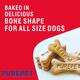 Purepet Mutton Flavour, Real Chicken Biscuit,Dog Treats- Jar 905 gm - Petfood