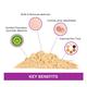 Omved Ubtan Ayurvedic Face & Body Powder - All Skin Types 100 gm - Personal Care (Ayush)