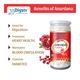 Swadeshi Ayurved Digstv Anardana Globules 200 gm - Digestive Care